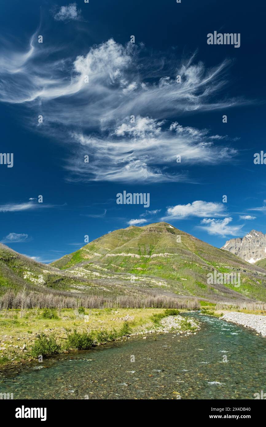 Canada, Alberta, Parc national des Lacs-Waterton. Blakiston Creek et petite montagne. Banque D'Images