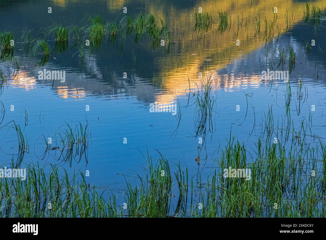 Canada, Alberta, Parc national Banff. Pic de Sundance Range reflété dans le lac Vermilion au lever du soleil. Banque D'Images