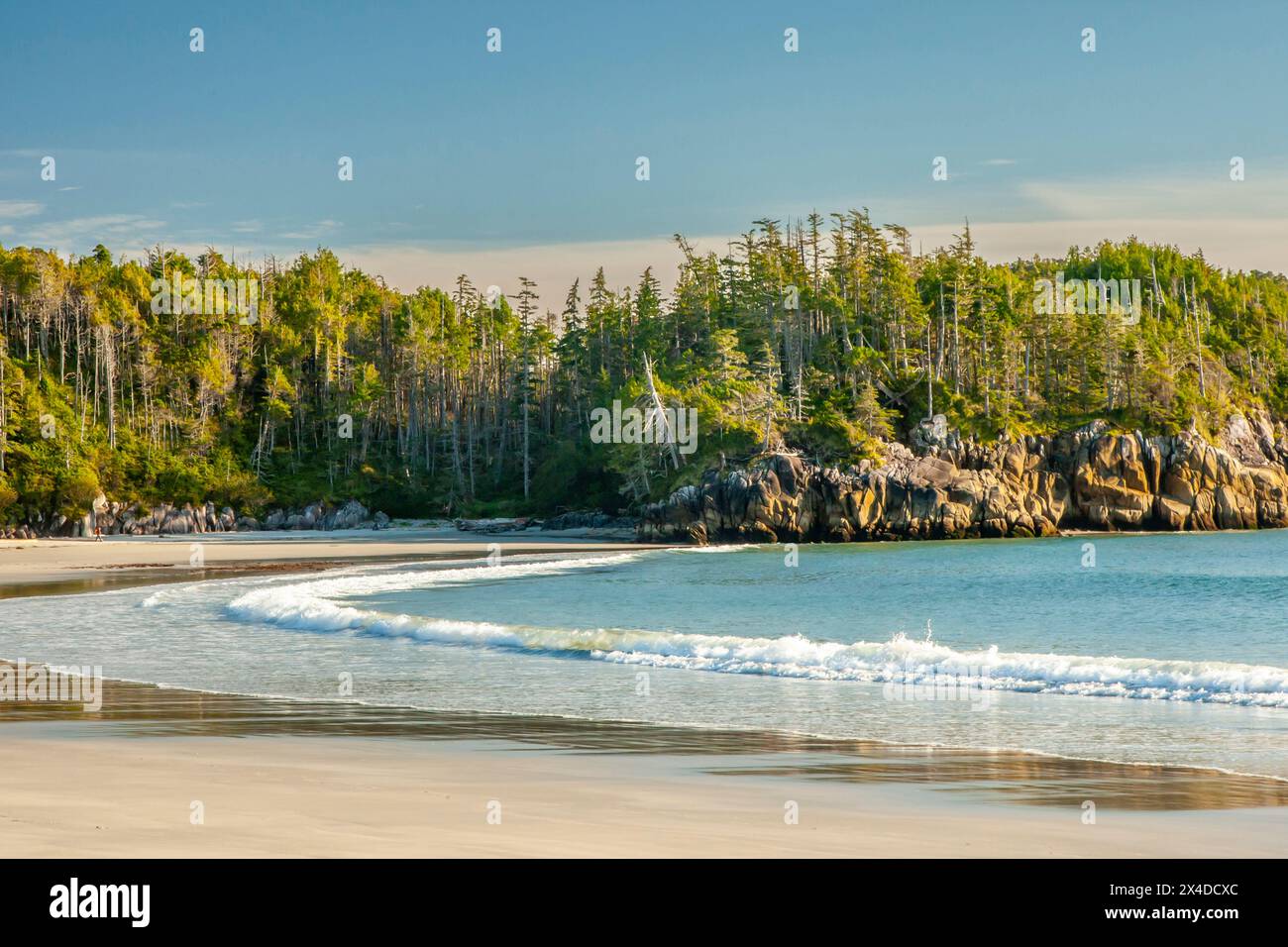 Canada, Colombie-Britannique, passage intérieur. Plage océanique de Calvert Island et falaises boisées. Banque D'Images