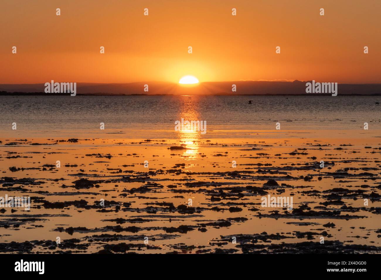 Saintes-Maries-de-la-mer, Bouches-du-Rhône, Provence-Alpes-Côte d'Azur, France. Le soleil se lève sur les marais de Camargue. Banque D'Images