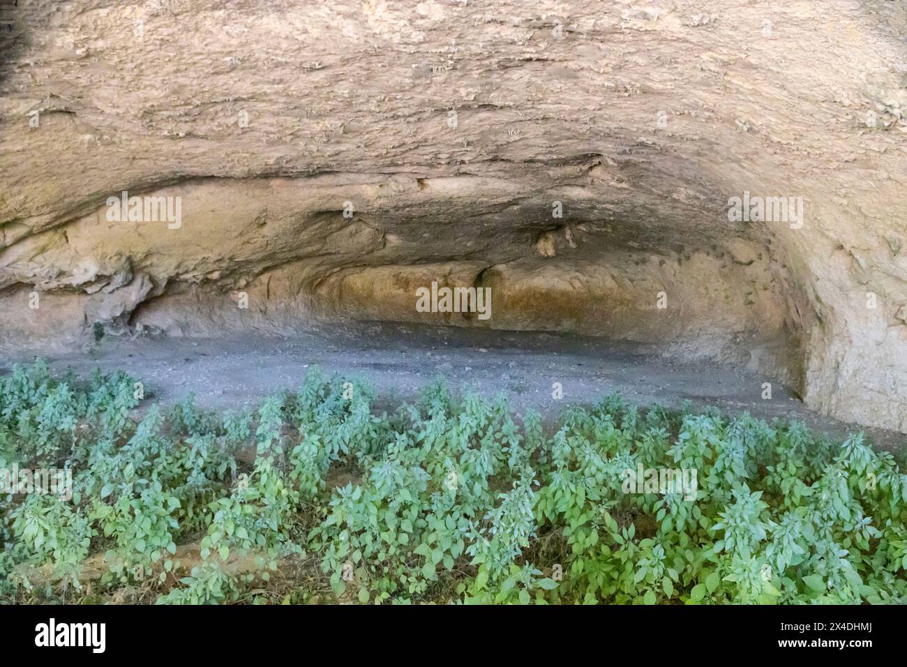 Grotte naturelle dans le parc de loisirs du Pont-du-Gard en Provence, France. Utilisé par les Allemands pendant la seconde Guerre mondiale pour stocker et cacher des armes. Banque D'Images