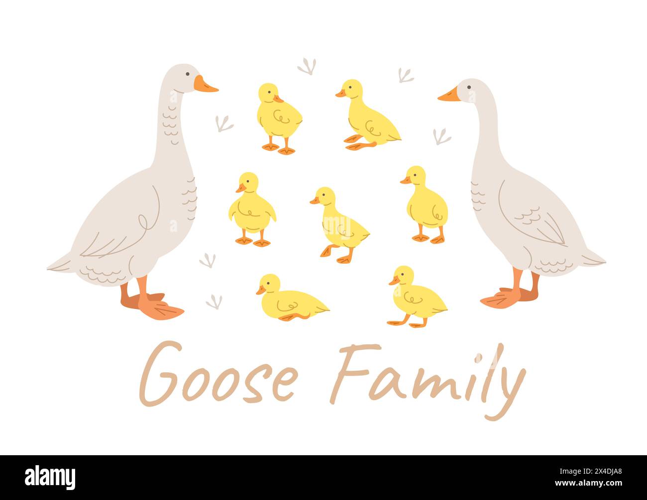 Mignon doodle les membres de la famille des oies. Oie mâle et femelle linéaire dessinée à la main et oisons adorables dans différentes poses, isolés sur blanc. Vecteur stylisé Illustration de Vecteur