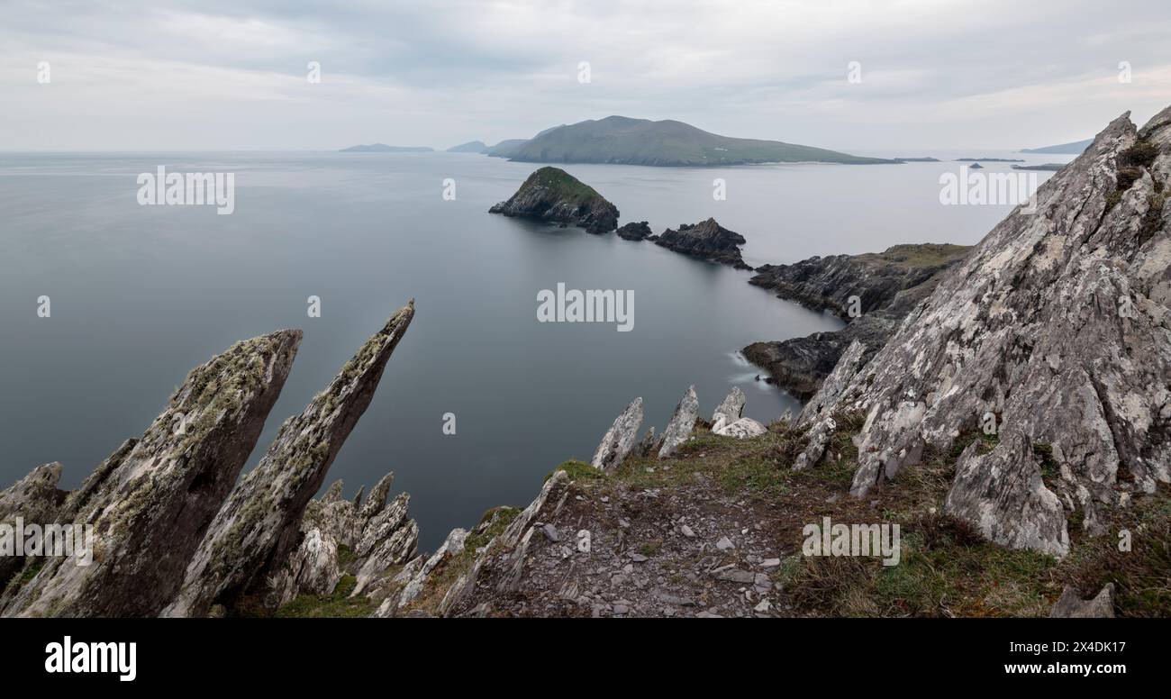 Irlande, comté de Kerry, Dunmore Head. Des falaises rocheuses s'élèvent de l'océan. Banque D'Images