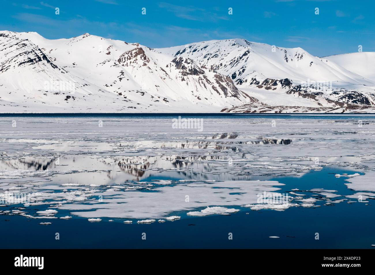 La glace flotte sur les eaux arctiques en face du glacier de Monaco.Glacier de Monaco, île de Spitzbergen, Svalbard, Norvège. Banque D'Images