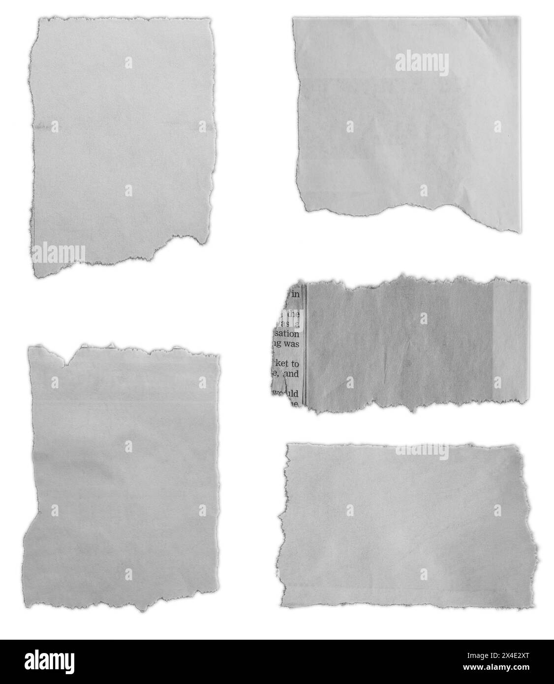 Cinq morceaux de papier déchiré sur fond blanc Banque D'Images