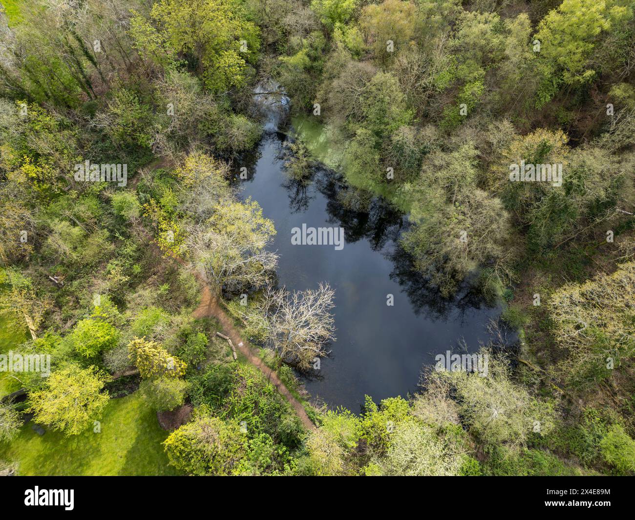 Vue aérienne de l'étang dans la réserve naturelle de C S Lewis, près de la maison des auteurs les fours, Oxford, Royaume-Uni. Banque D'Images