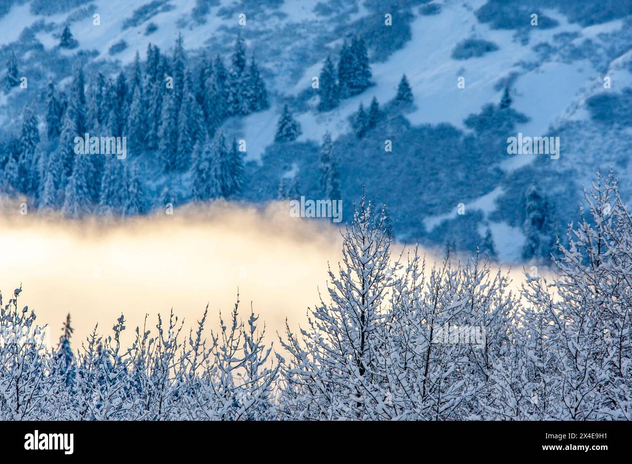 États-Unis, Alaska, vallée de la rivière Chilkat. Paysage de montagne en hiver. Banque D'Images