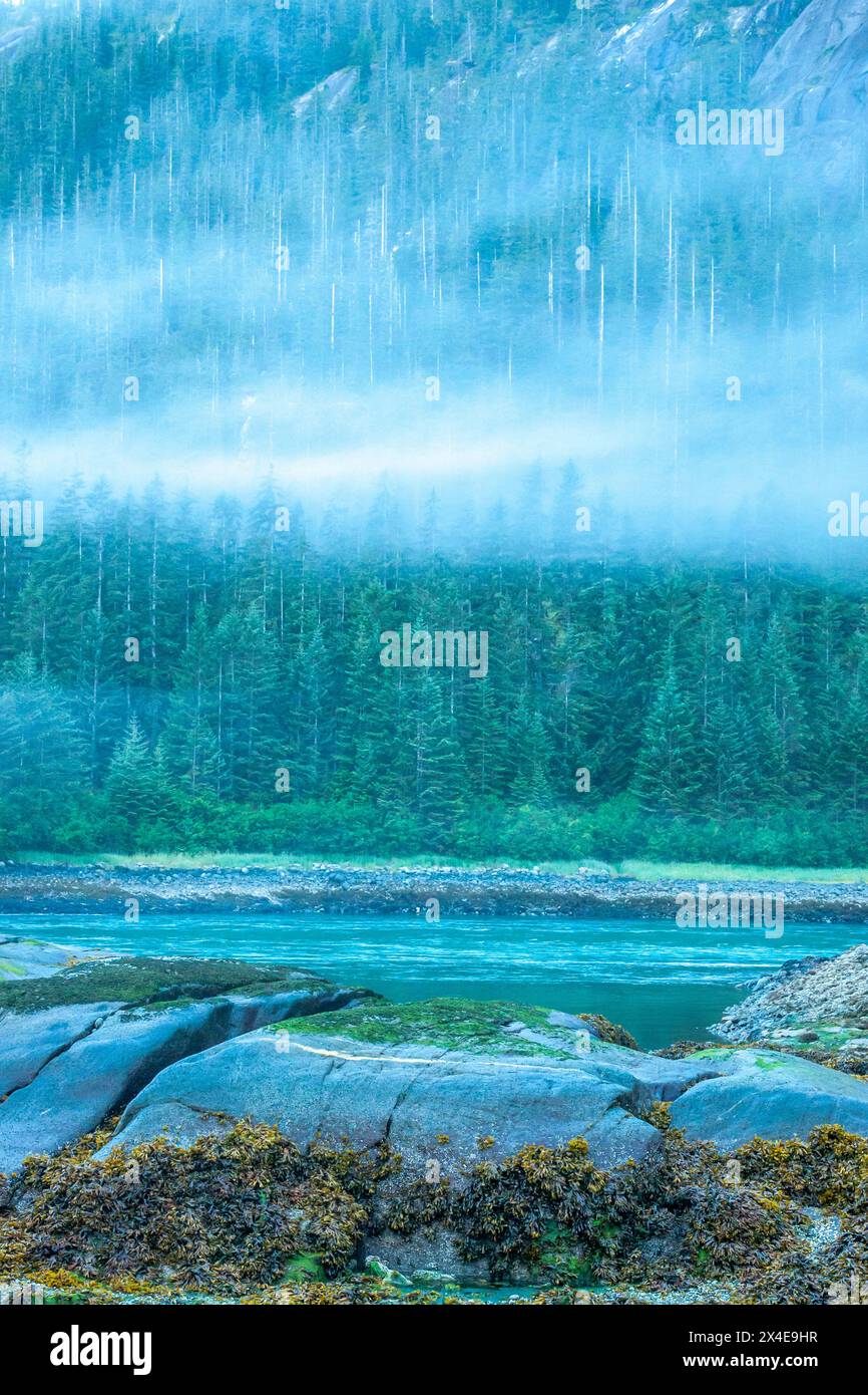 États-Unis, Alaska, Tongass National Forest. Paysage avec brouillard sur Fords Terror. Banque D'Images