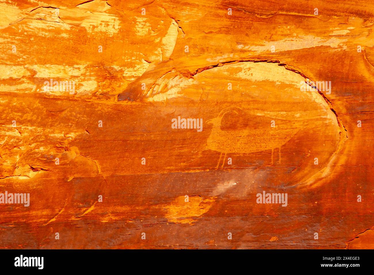 États-Unis, Arizona, Monument Valley Navajo Tribal Park. Gros plan des pétroglyphes dans le grès. Banque D'Images