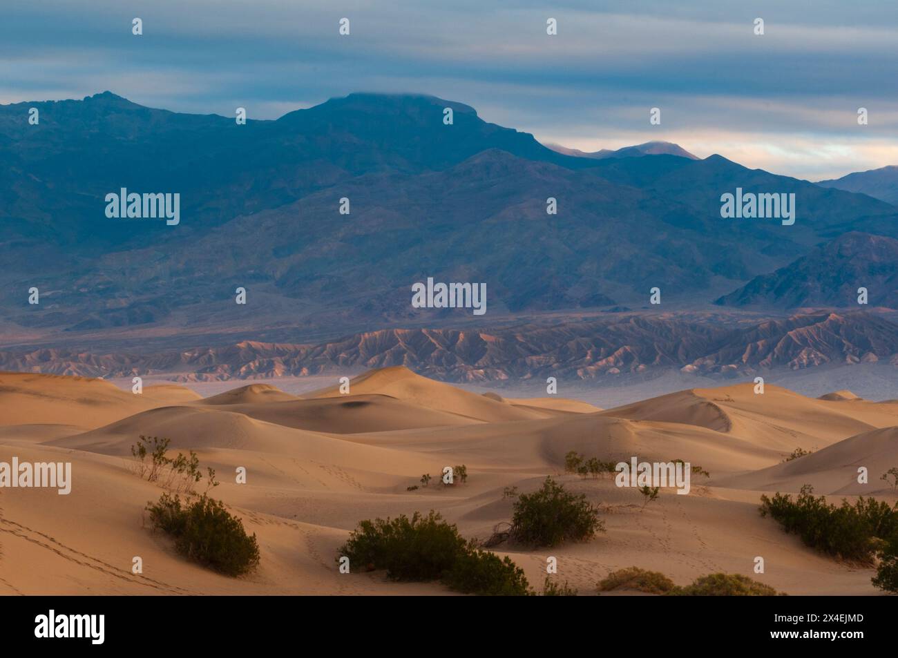 La lumière du soleil met en évidence les dunes de sable dans la région de Stovepipe Wells, dans la vallée de la mort.Parc national de Death Valley, Californie, États-Unis. Banque D'Images