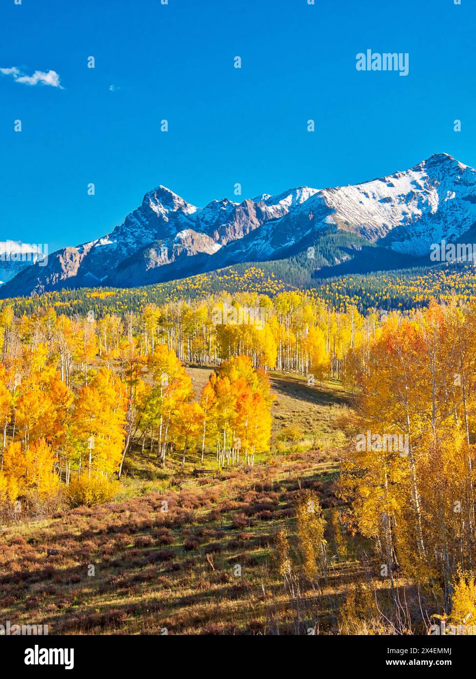 États-Unis, Colorado, Quray. Dallas Divide, lever du soleil sur le Mt. Snaffles avec des couleurs d'automne Banque D'Images
