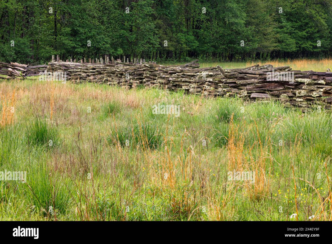 Barrière de rail en bois, musée agricole de montagne Oconaluftee, parc national des Great Smoky Mountains, Caroline du Nord Banque D'Images