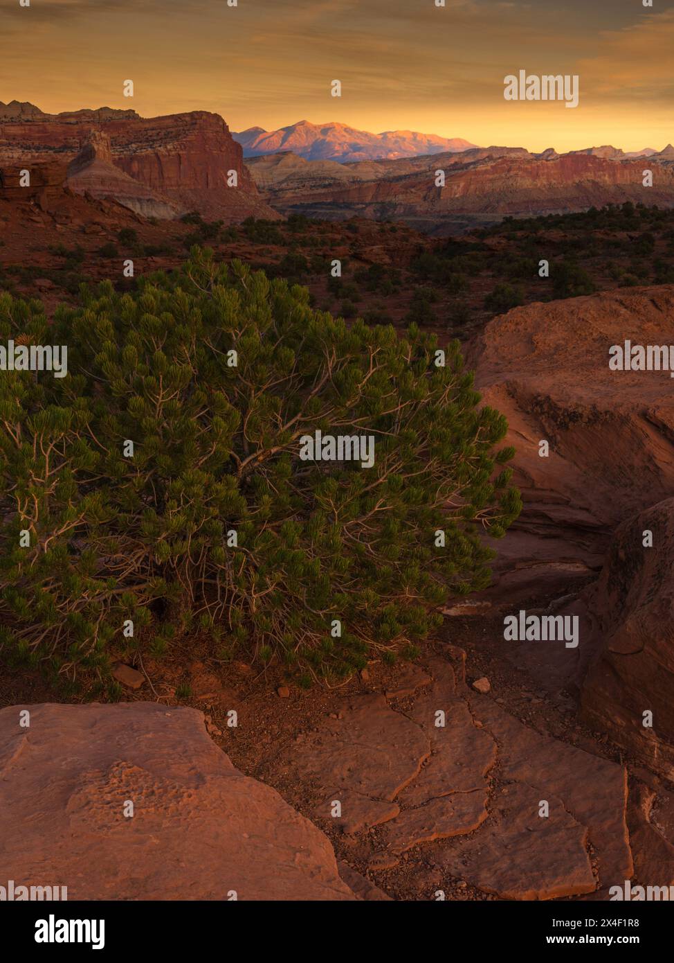 États-Unis, Utah, Capital Reef National Park. Coucher de soleil sur les montagnes et les badlands. Banque D'Images