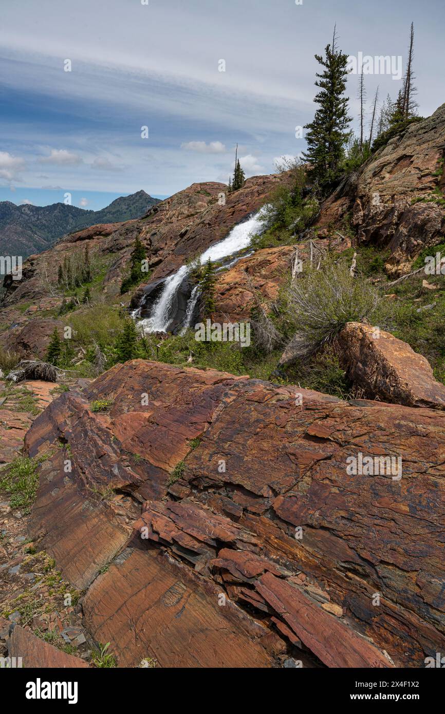 États-Unis, Utah. Rocher de quartzite et cascade, Twin Peaks Wilderness, Big Cottonwood Canyon, Wasatch Mountains Banque D'Images