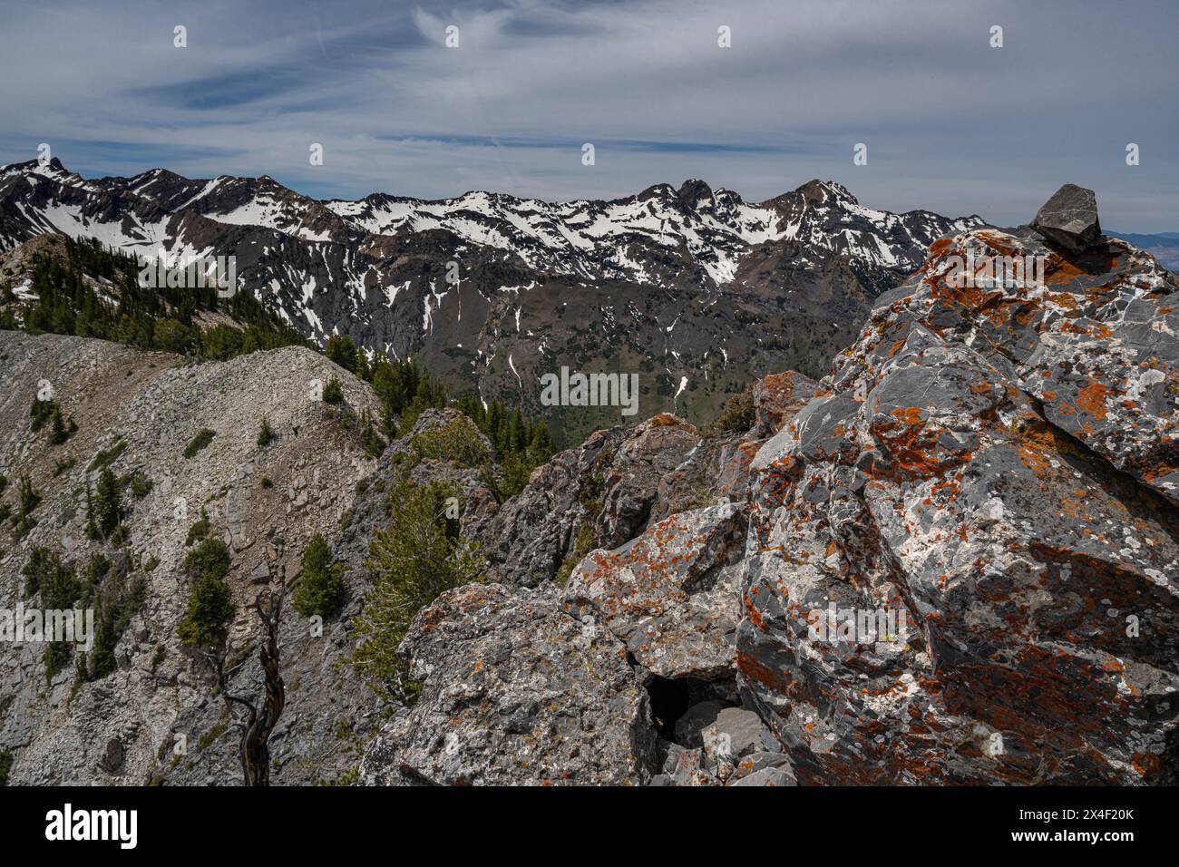 États-Unis, Utah. Paysage de Mineral et Cardiff Fork, Big Cottonwood Canyon, Wasatch Mountains Banque D'Images