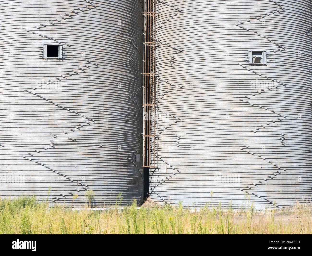 Gros plan des bacs à grains métalliques dans la Palouse au moment de la récolte. Banque D'Images