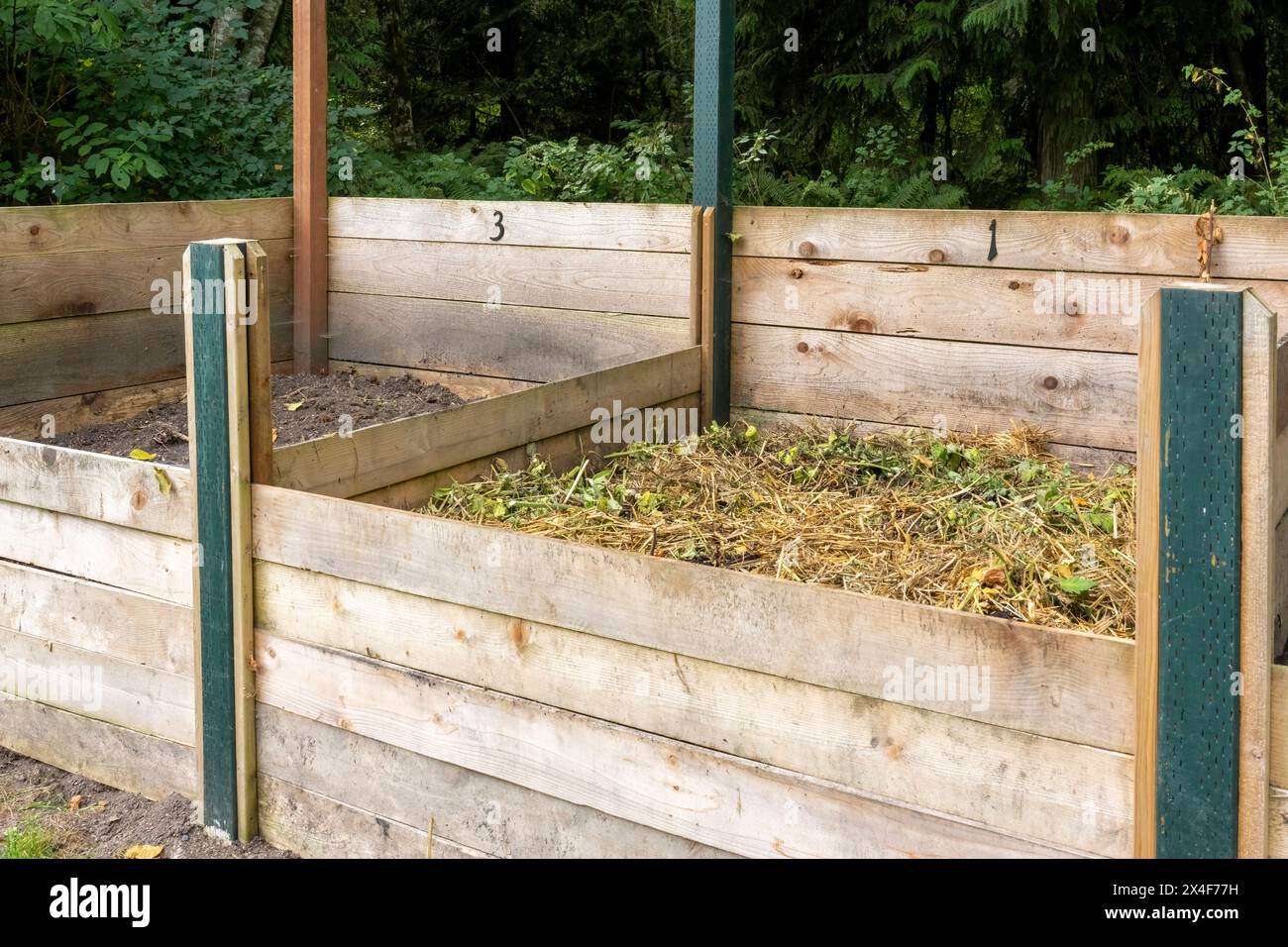 Port Townsend, État de Washington, États-Unis. Bacs à compost en bois pour différentes étapes de décomposition, dans un jardin communautaire Banque D'Images