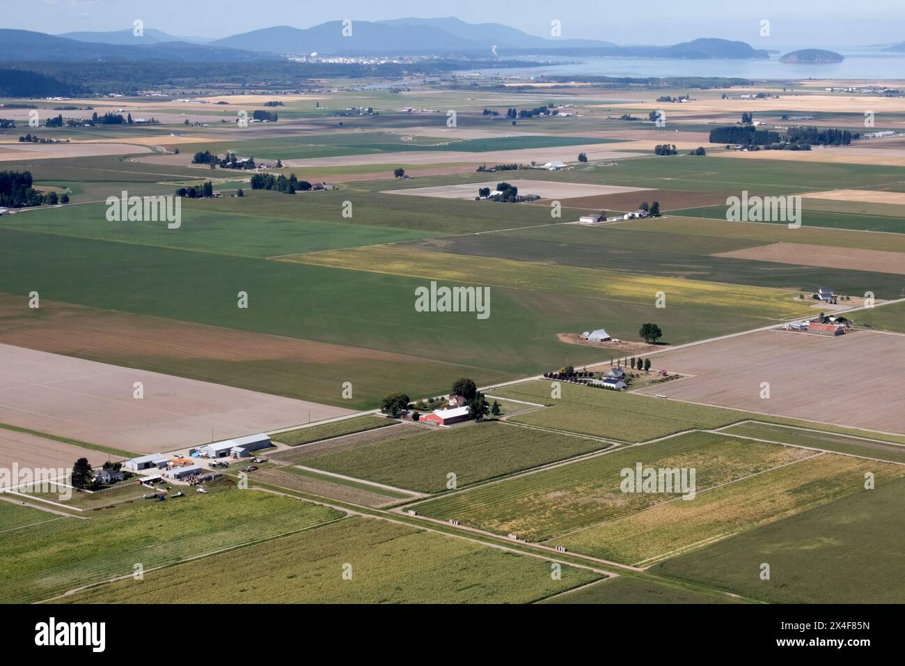 États-Unis, État de Washington. Comté de Skagit, terres agricoles de la vallée de Skagit Banque D'Images