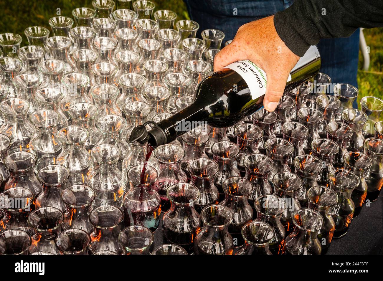 États-Unis, État de Washington, Red Mountain. Dégustateurs de Cabernet Sauvignon prêts pour l'évaluation des dégustateurs. (Usage éditorial uniquement) Banque D'Images