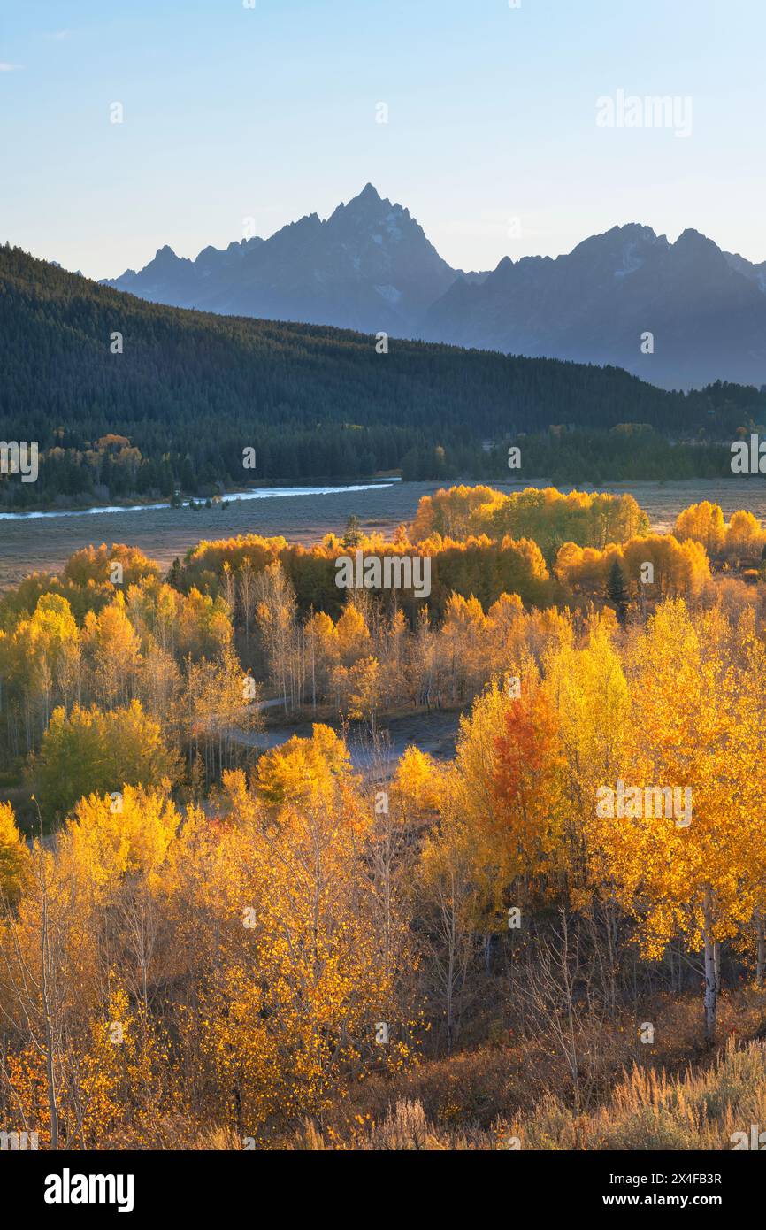 Couleur d'automne à Oxbow Bend, Grand Teton National Park, Wyoming. Banque D'Images