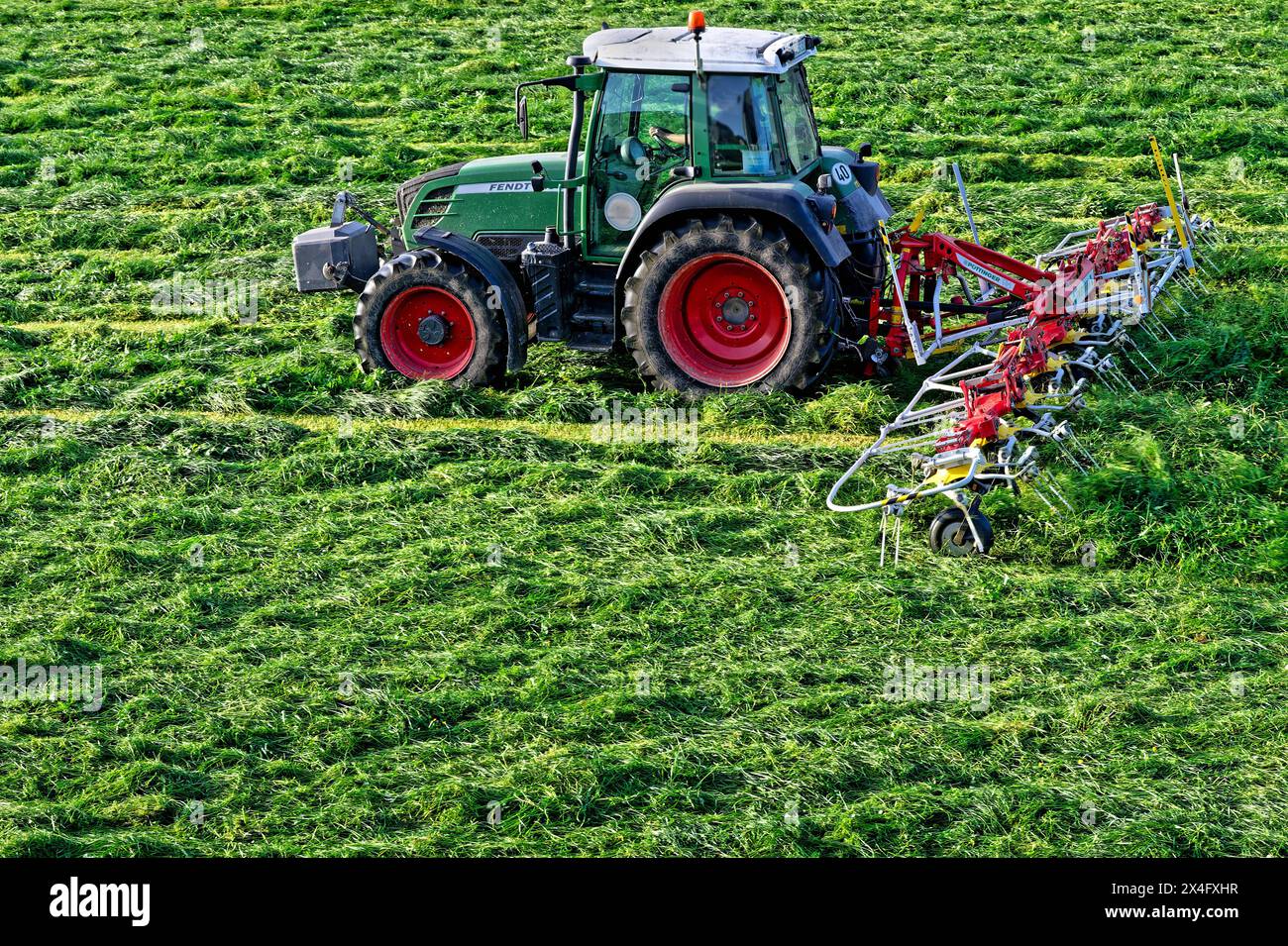 Der erste Grünland-Schnitt im Frühjahr. Der optimal Schnittzeitpunkt ist erreicht , der Bauer beginnt mit der Grasernte auf seiner Wiese. Siegsdorf Bayern Deutschland *** la première coupe de prairie au printemps le temps de coupe optimal a été atteint, l'agriculteur commence à récolter l'herbe dans son pré Siegsdorf Bavière Allemagne Copyright : xRolfxPossx Banque D'Images