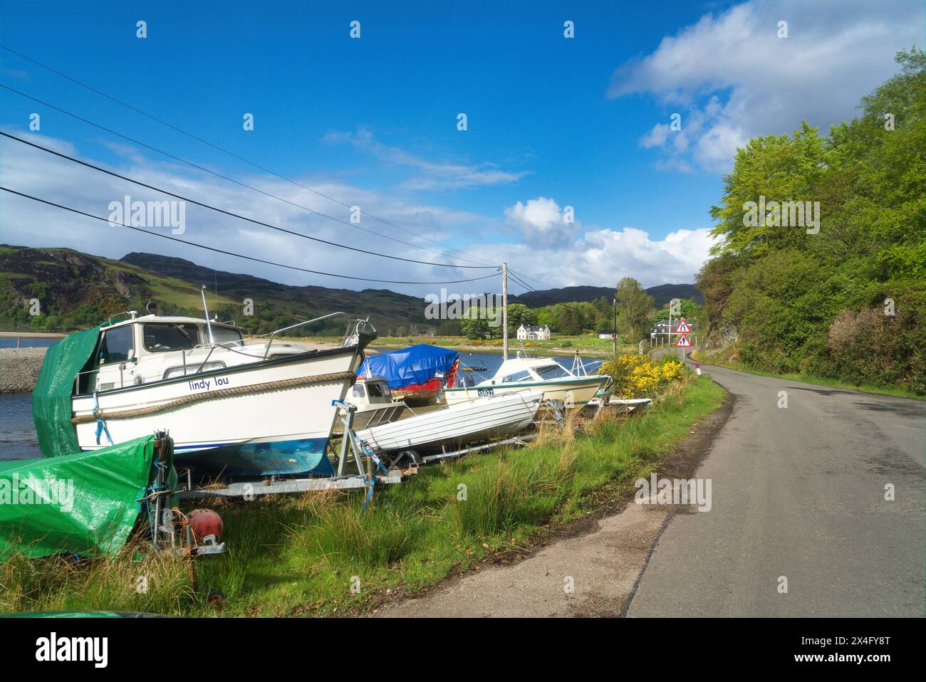 Glenelg près de Shiel Bridge. Bord de route gorse jaune vif. Glenelg, Morvich. WESTERN Highlands, Écosse, Royaume-Uni Banque D'Images