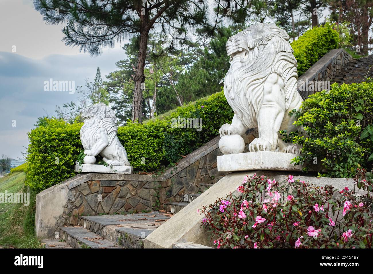 Statues de lion. Deux lions de marbre sont assis sur un escalier sur des piédestaux devant le parc public de Da Lat Vietnam. Photo de voyage, personne Banque D'Images