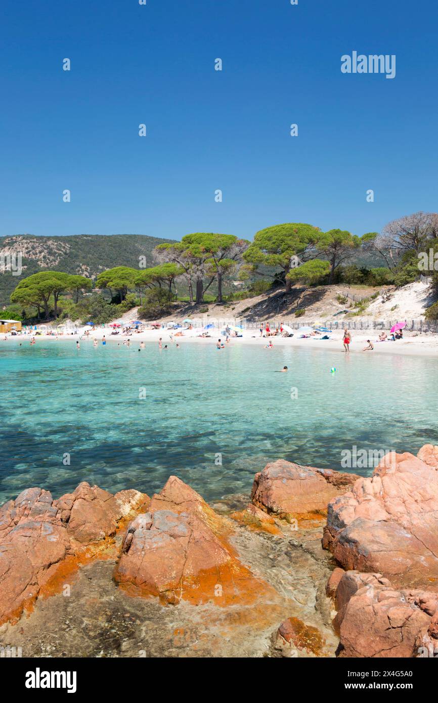 Porto-Vecchio, Corse-du-Sud, Corse, France. Vue depuis le promontoire rocheux sur l'eau turquoise claire de la plage de Palombaggia. Banque D'Images