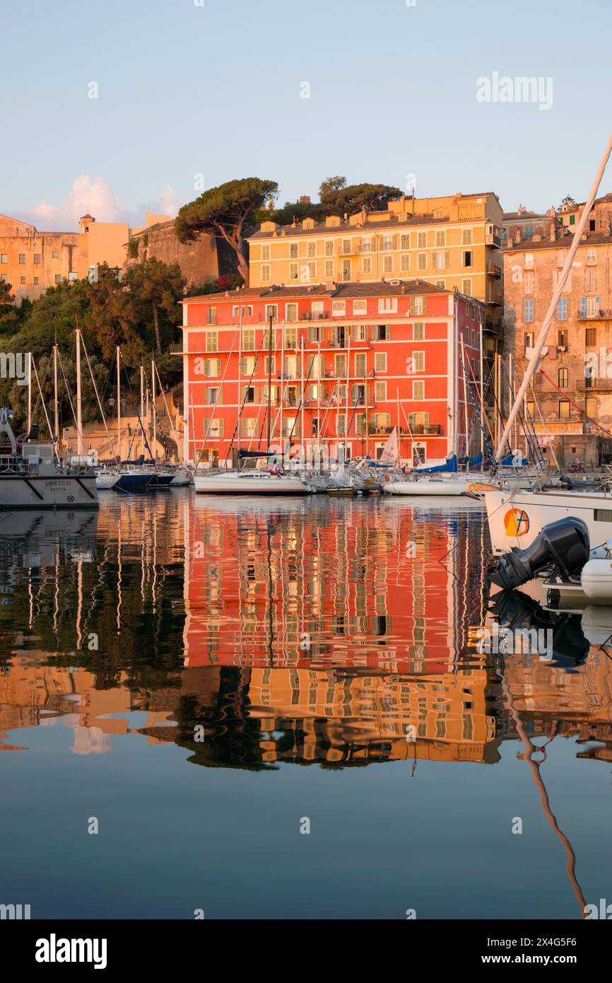 Bastia, haute-Corse, Corse, France. Vue sur le Vieux Port au lever du soleil, maisons colorées sur le port reflétées dans l'eau tranquille. Banque D'Images