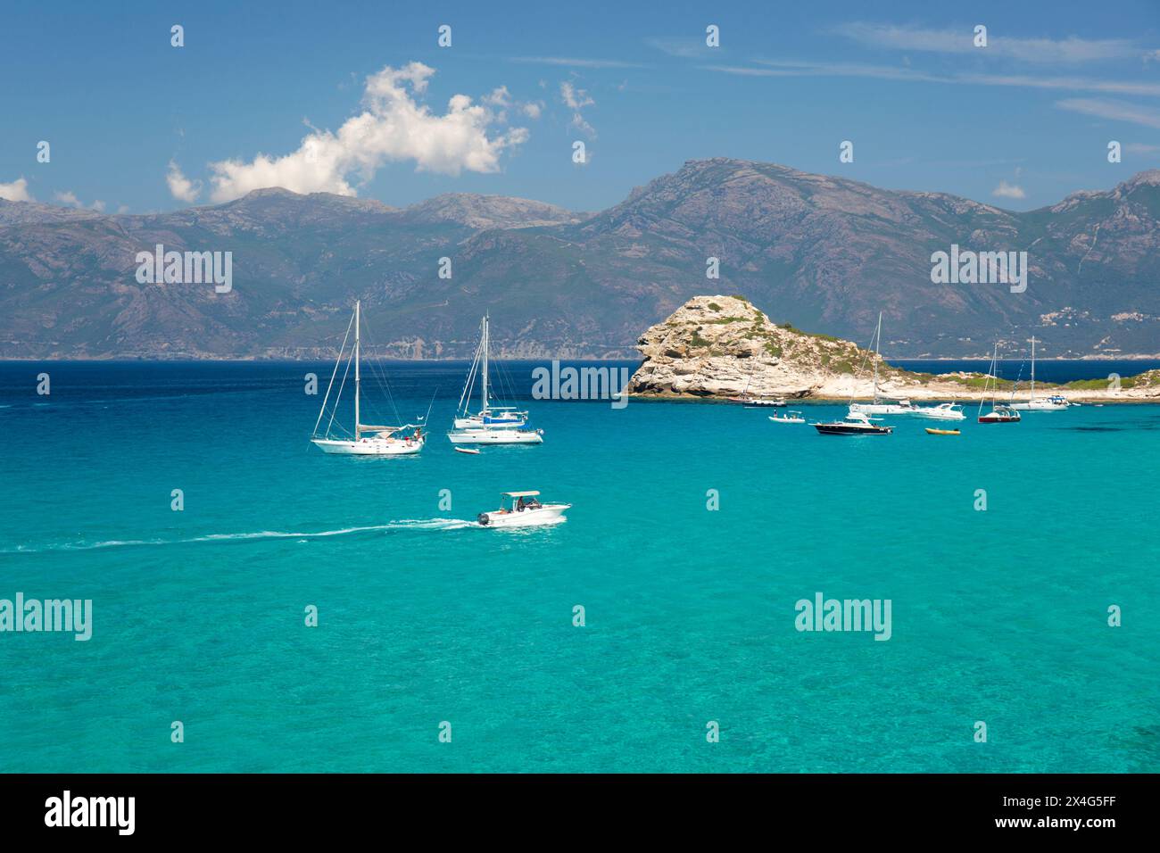 Saint-Florent, haute-Corse, Corse, France. Vue sur l'eau turquoise limpide jusqu'à la péninsule du Cap Corse depuis le littoral près de la plage du Loto. Banque D'Images