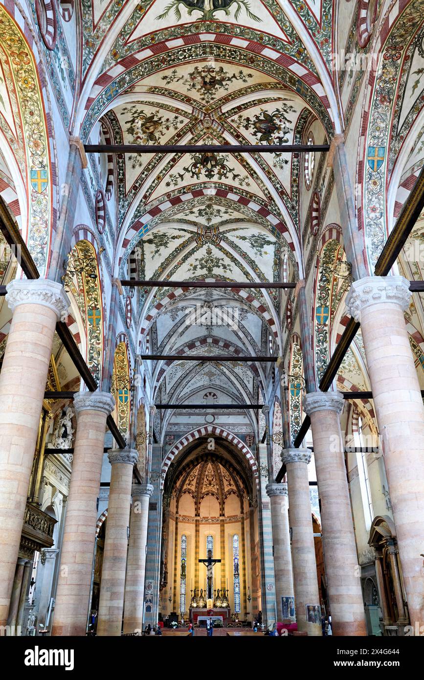Vérone Veneto Italie. La basilique Sainte-Anastasie Banque D'Images