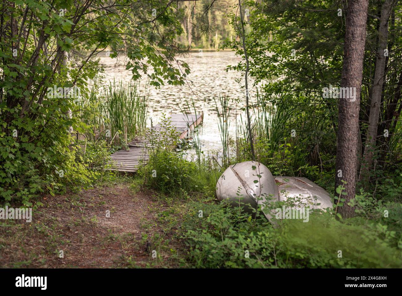 Un canoë au bord d'un lac luxuriant, chuchotant la tranquillité et l'aventure. Banque D'Images