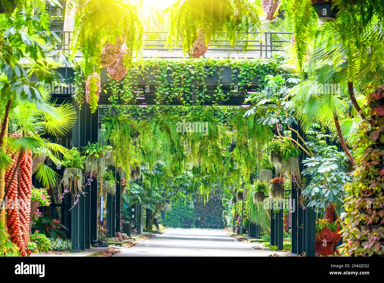 Tunnel en arc et pont et plantes tropicales. Banque D'Images