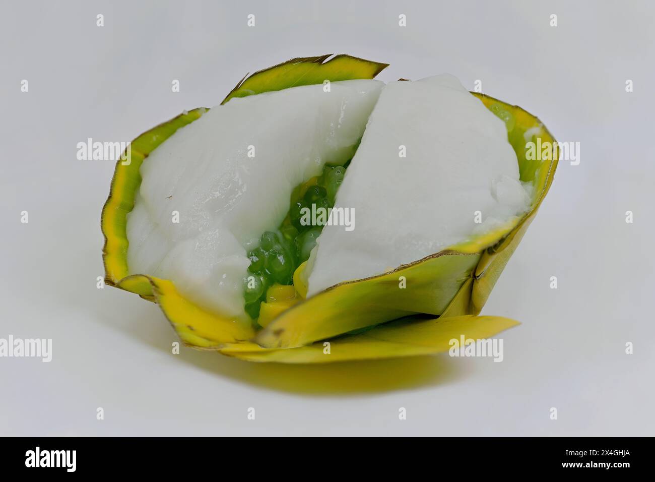 Gros plan d'une garniture de palmier vert de sagou avec du maïs sucré dans un dessert Khanom Tako Thai à la noix de coco en couches, dans une tasse à feuilles de pandan pliées Banque D'Images