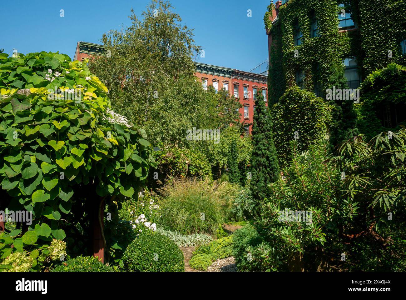 New York City, NY, États-Unis, vue grand angle, extérieur, jardins communautaires à East Village, été Banque D'Images