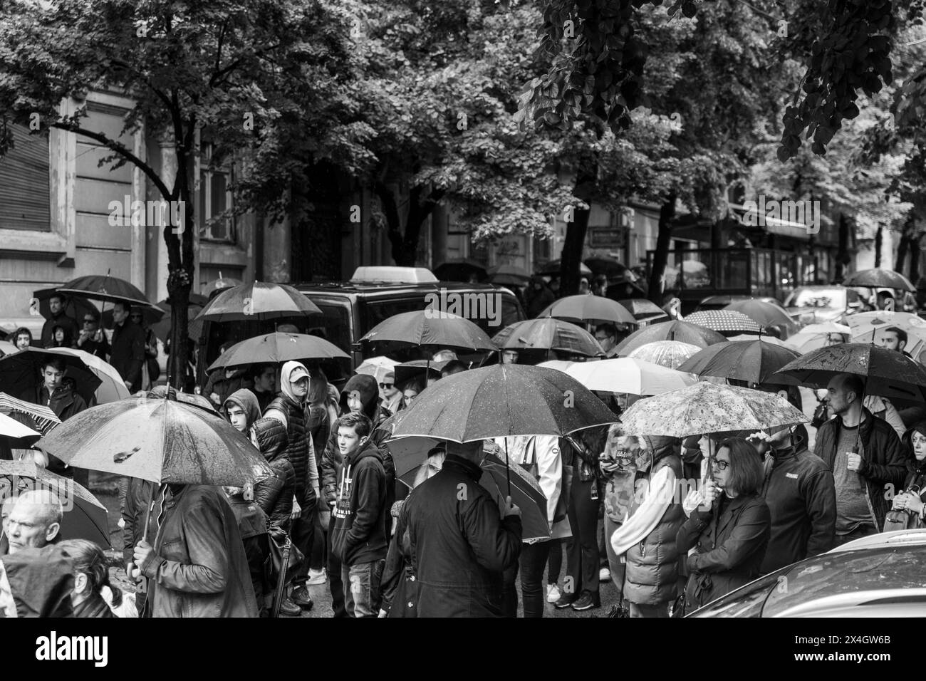 Les parents des enfants morts il y a exactement un an dans une fusillade à OS Vladislav Ribnikar à Belgrade sont arrivés ce matin devant l'école. Là, ils ont déposé des fleurs et allumé des bougies à la mémoire des enfants assassinés et du gardien de l'école. À 8 h 41, des sirènes ont retentit devant l'école. Dans le même temps, les médias en Serbie ont arrêté le programme et observé une minute de silence en l'honneur des personnes tuées. Les parents sont ensuite allés au parc Tasmajdanski, l’endroit où les enfants ont grandi et joué. Un mur vidéo a été installé à Belgrade (Sebi), montrant des photographies des victimes Banque D'Images