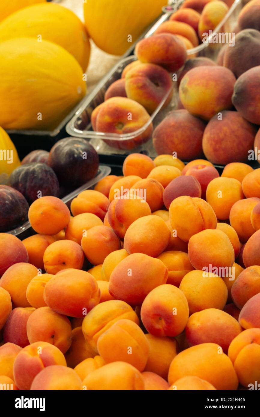 Abricots, prunes, pêche et melon sur étal de marché. Tas de fruits juteux. Récolte d'été. Alimentation saine. Vitamines et antioxydant. Marché aux fruits Banque D'Images