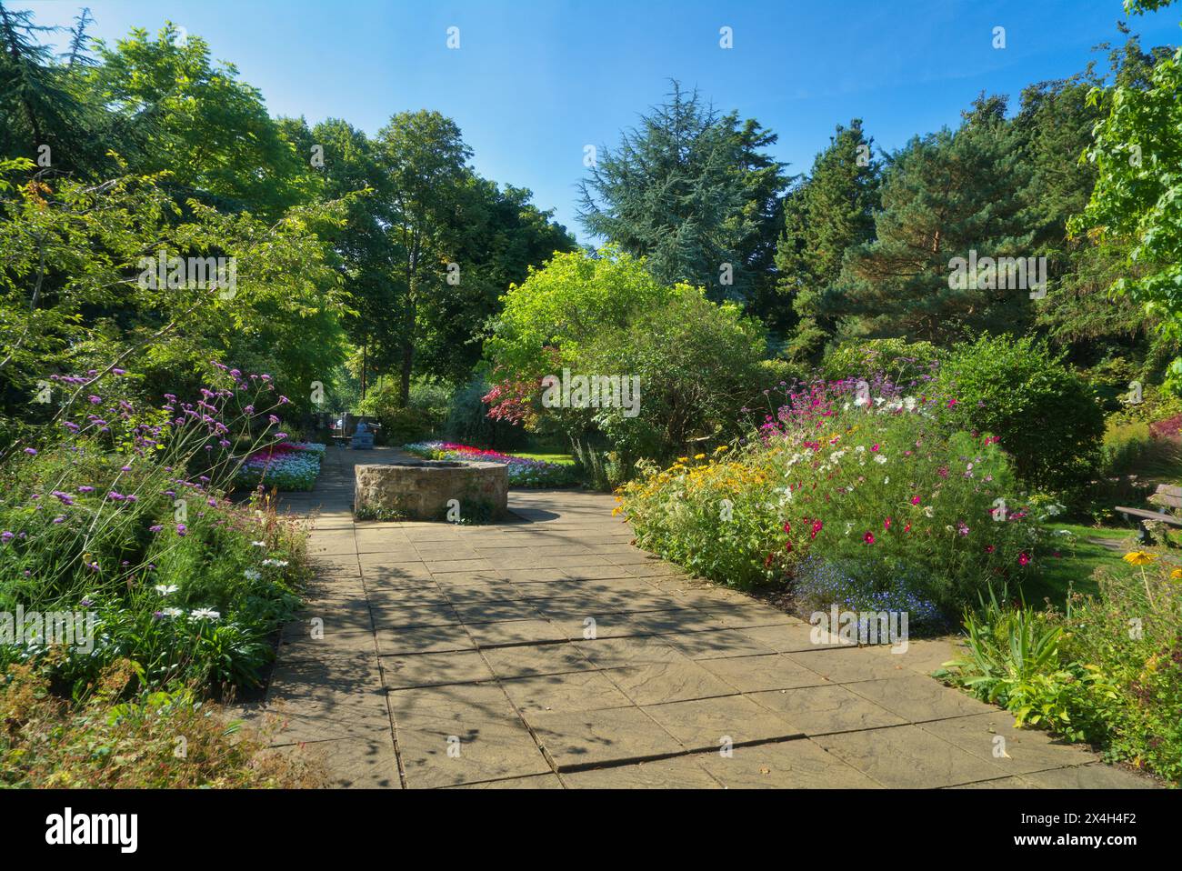 Belle plantation à Elgin Bible Garden, près de la cathédrale, Elgin. Jardin biblique d'Elgin, King Street, Elgin, Moray, Highlands, Écosse, Royaume-Uni Banque D'Images