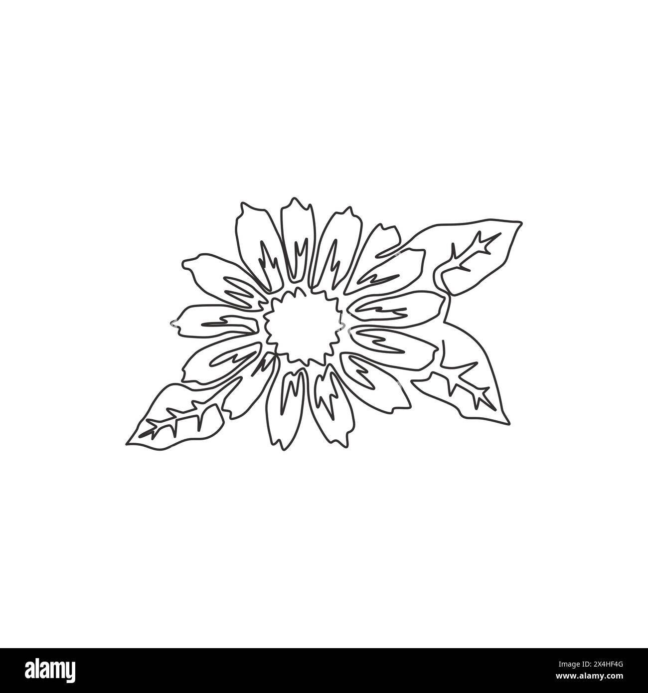 Dessin de ligne continue simple de souci frais de beauté pour affiche de décoration murale à la maison. Fleur de calendula décorative imprimable pour invitation de carte de mariage. Illustration de Vecteur