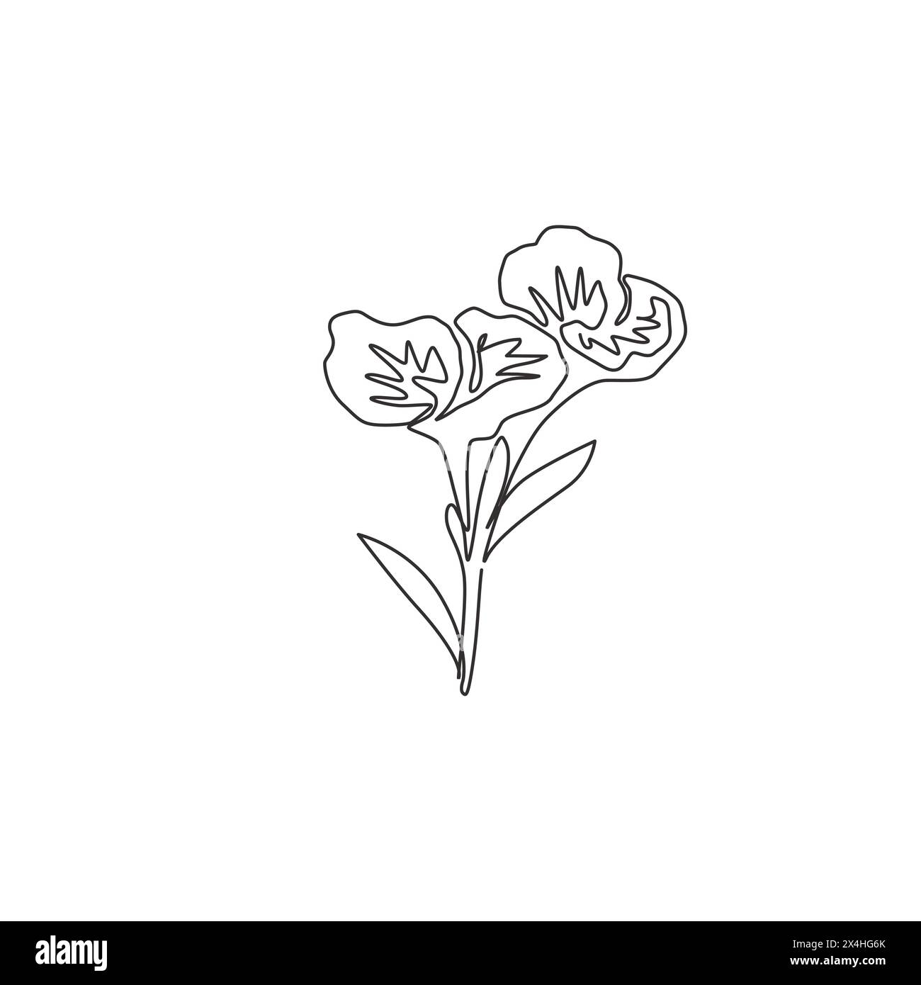 Un dessin sur une ligne de Beauty Fresh Canna pour décoration murale. Concept de fleur de canna Lily décoratif imprimable pour ornement de carte. Illustration de Vecteur