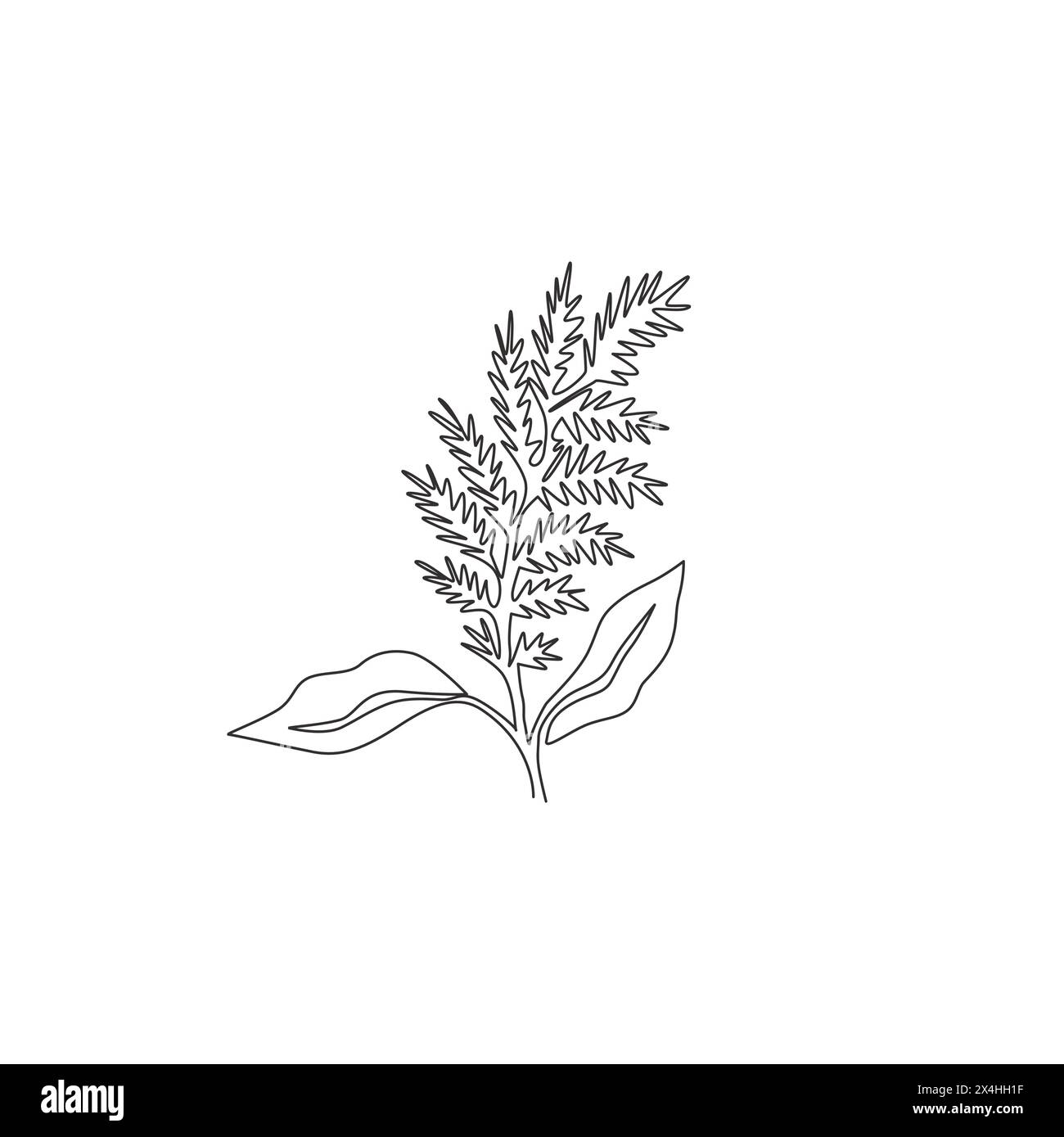 Un dessin en ligne continue de beauté fraîche amaranthus pour décoration murale à la maison Ar poster imprimé. Concept décoratif de fleur d'amarante pour invitation de mariage Illustration de Vecteur