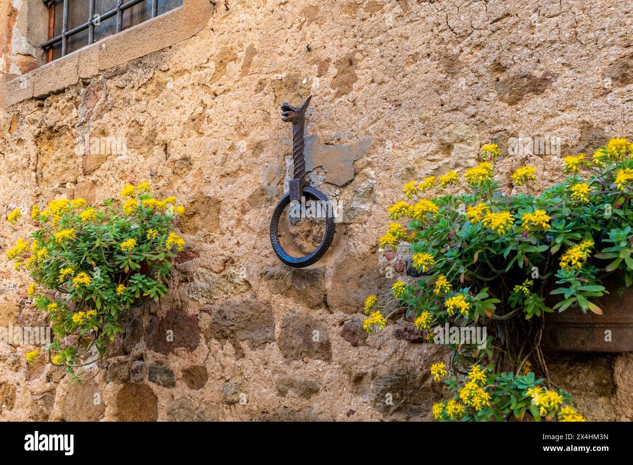 Dragon décoratif en métal tenant un anneau sur un mur de pierre texturé, à côté d'une fenêtre avec des fleurs jaunes dans une jardinière. Banque D'Images