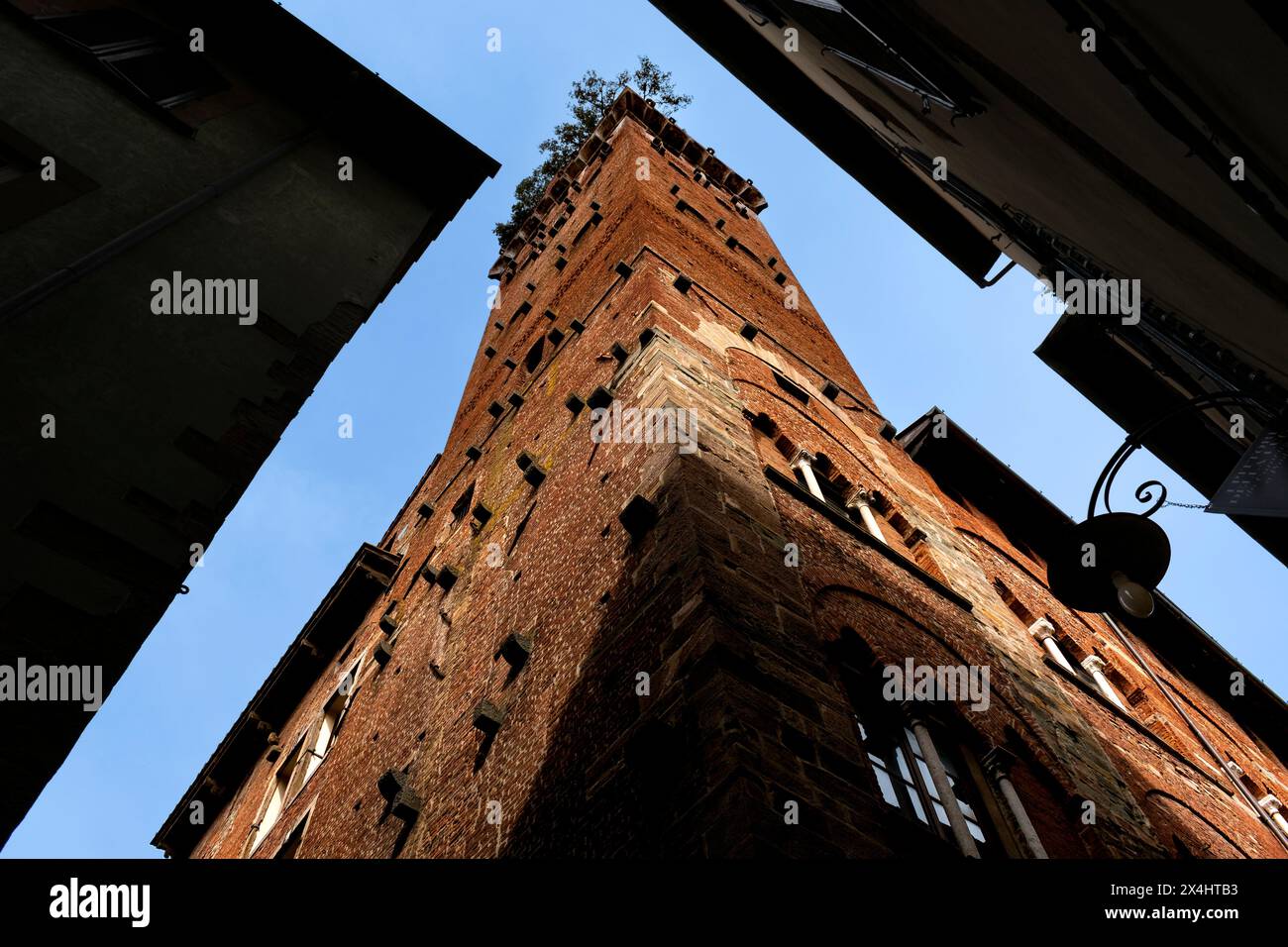 Vue en bas angle d'une ancienne tour de briques avec des arbres poussant au sommet, encadrée par les bâtiments environnants sous un ciel bleu clair. Banque D'Images
