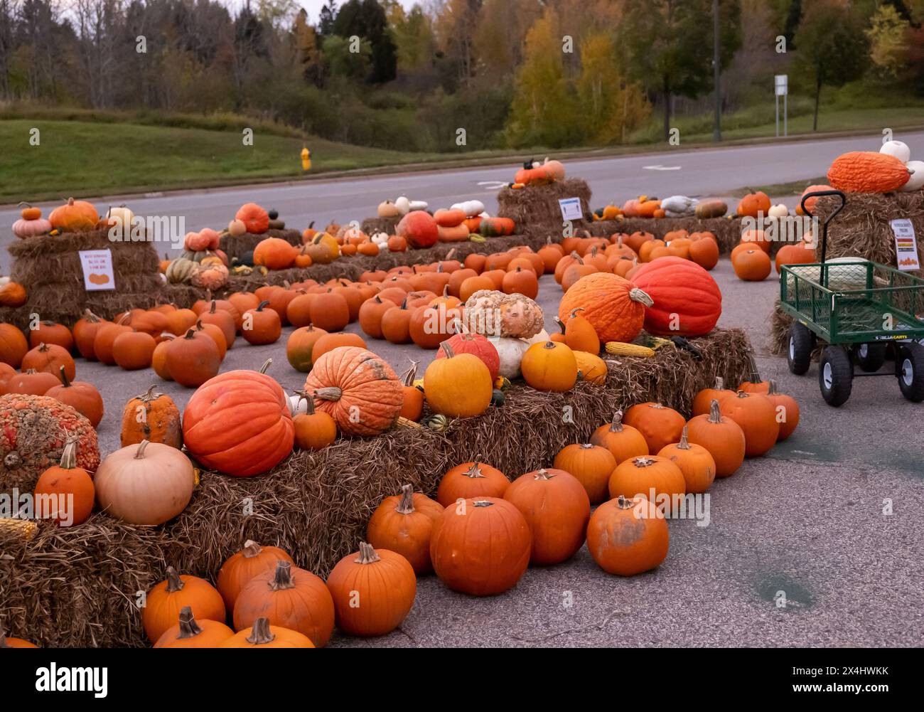 TWO HARBORS, MN - 5 OCT 2020 : citrouilles et courges à vendre sur l'exposition de balles de foin sur un marché agricole en bordure de route. Banque D'Images