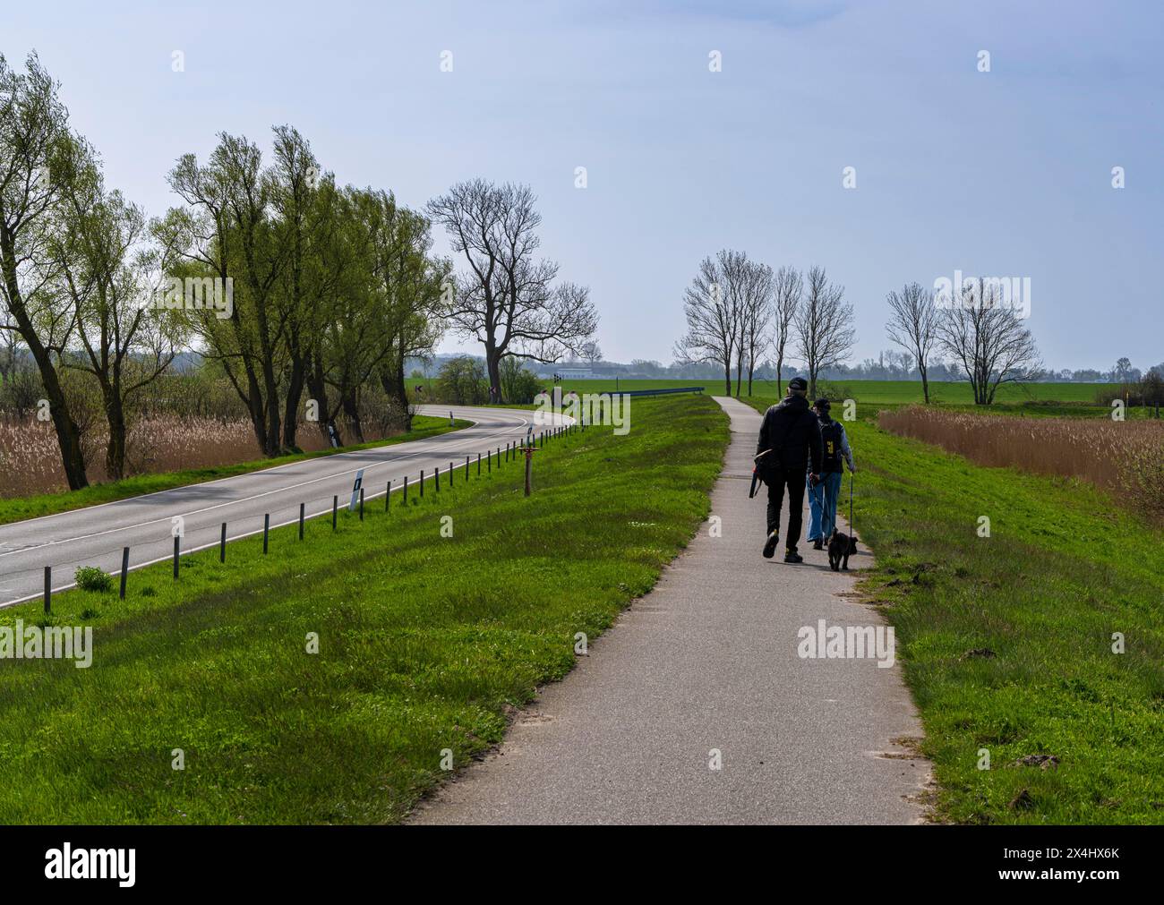 Promeneurs sur une piste cyclable dans la campagne, Mönchgut, Rügen, Mecklembourg-Poméranie occidentale, Allemagne, Europe Banque D'Images