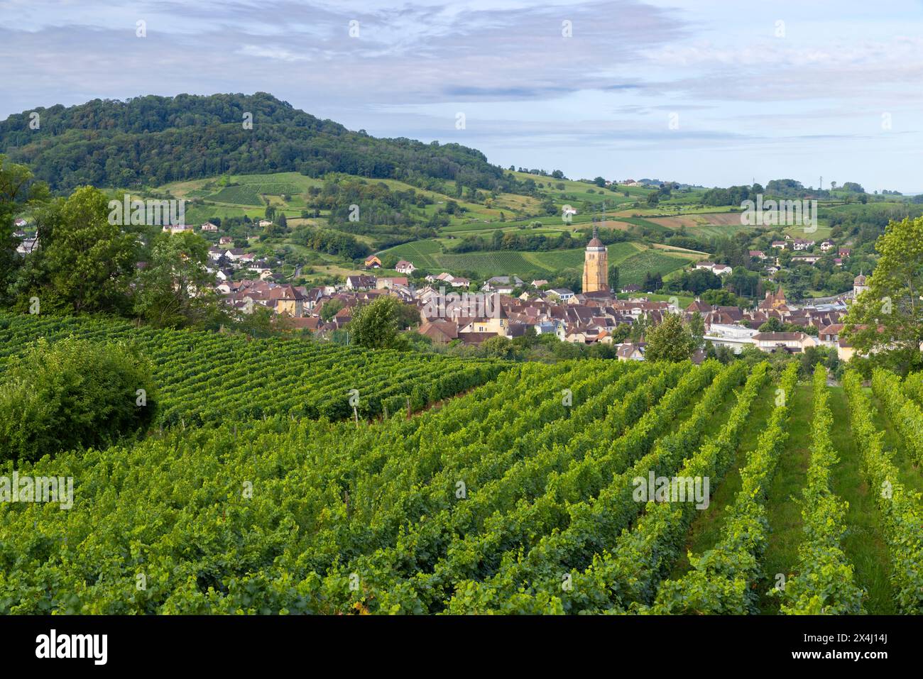 Vignobles avec ville d'Arbois, département du Jura, Franche-Comté, France Banque D'Images