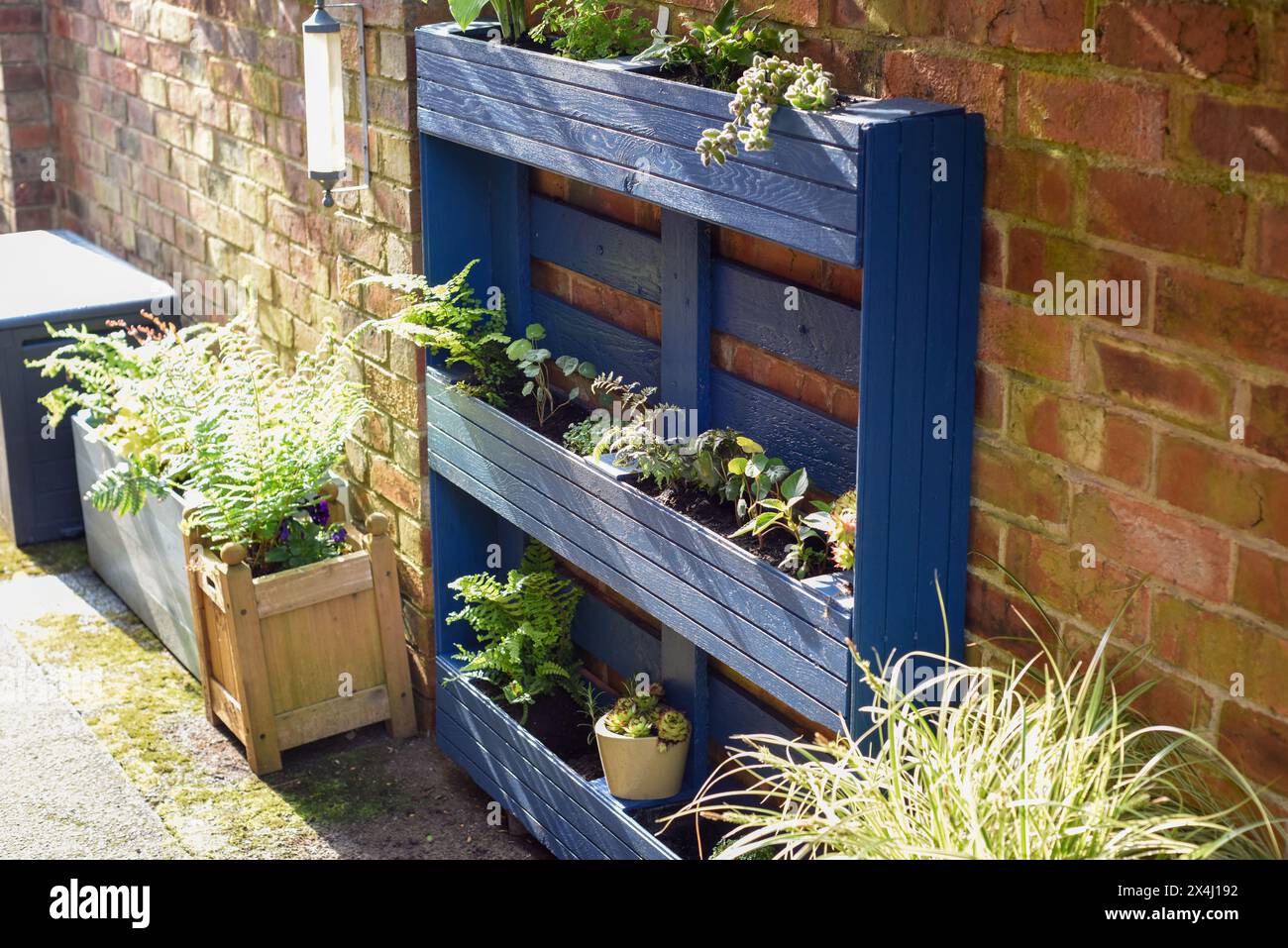 La palette en bois recyclé a été transformée en jardinière pour le jardin dans un projet d’upcycling respectueux de l’environnement Banque D'Images