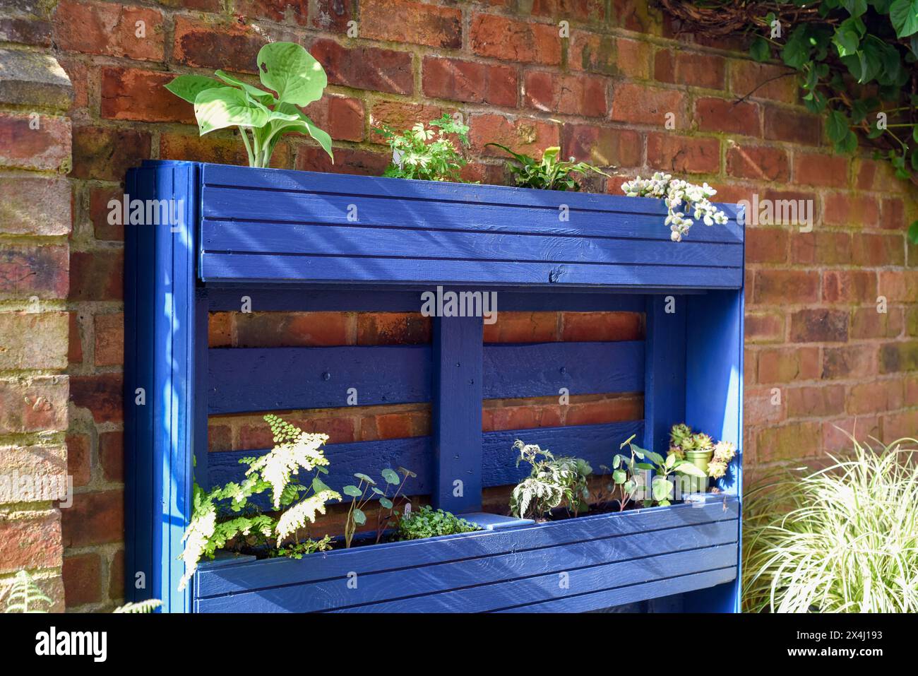 La palette en bois recyclé a été transformée en jardinière pour le jardin dans un projet d’upcycling respectueux de l’environnement Banque D'Images