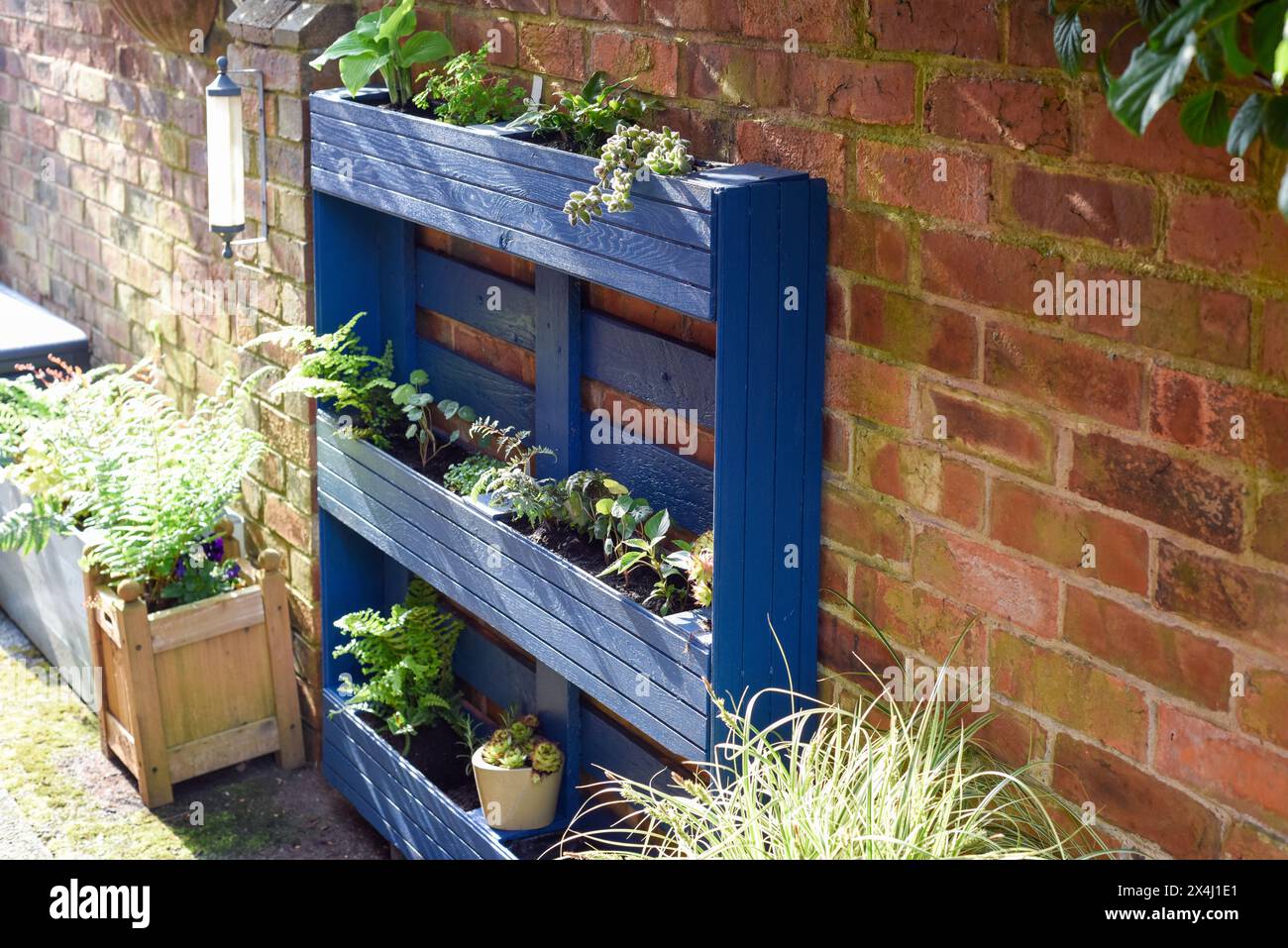 La palette en bois recyclé a été transformée en jardinière pour le jardin dans un projet d’upcycling respectueux de l’environnement Banque D'Images
