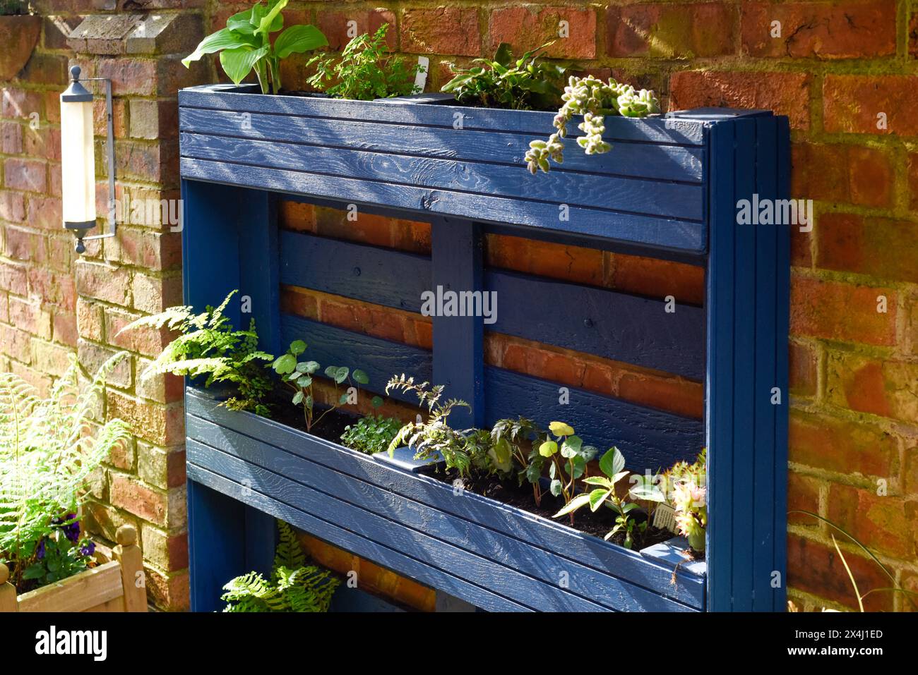 La palette en bois recyclé a été transformée en jardinière pour le jardin dans un projet d’upcycling respectueux de l’environnement Banque D'Images